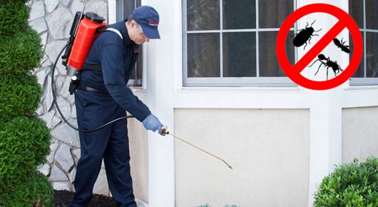 Seferihisar Dezenfeksiyon böcek ilaçlama ve haşere kontrolü — ilaclama-tr.com